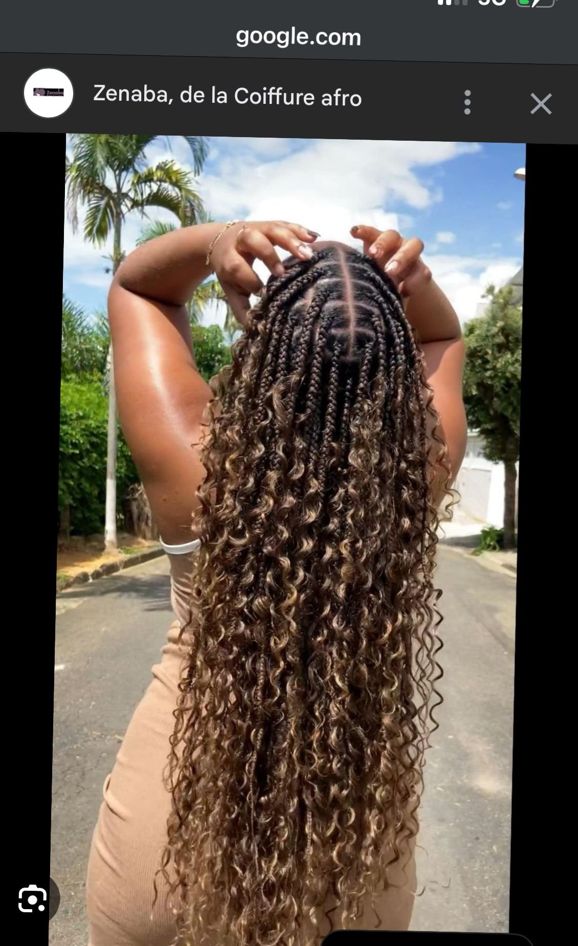 Knowles braids